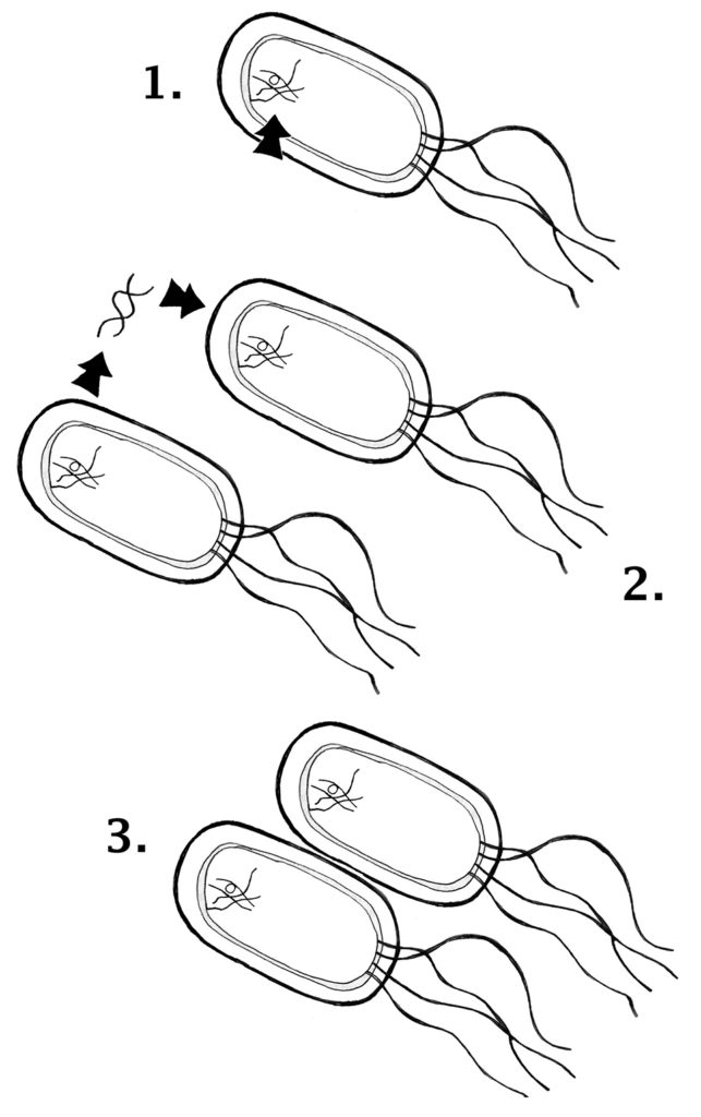 Article image for Concerns over antibiotics, chemicals in aquaculture