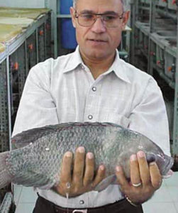 Feed color affects growth, feed utilization of Nile tilapia