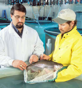 Genomics: Applications in salmonid aquaculture