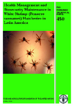 Article image for FAO publishes guidelines for white shrimp hatcheries