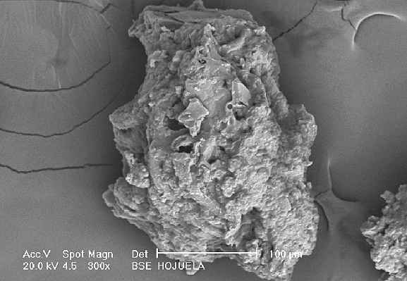 Article image for Compound microdiets for marine fish larvae: Key parameters