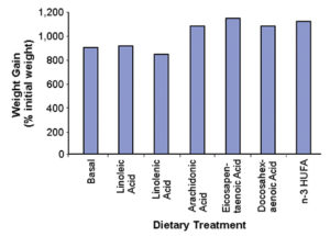 triglyceride fatty acid nutrition