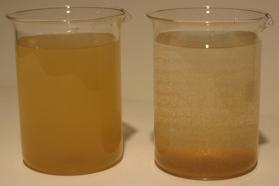 Prevention, treatments clear muddy ponds Responsible Seafood Advocate