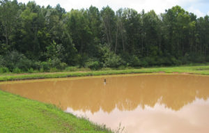Prevention, treatments clear muddy ponds