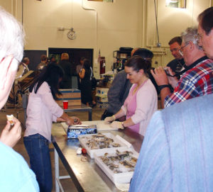 high-pressure processing