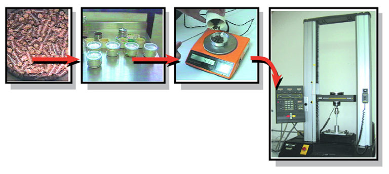 Article image for Pellet stability, hardness influence feed consumption of Pacific white shrimp