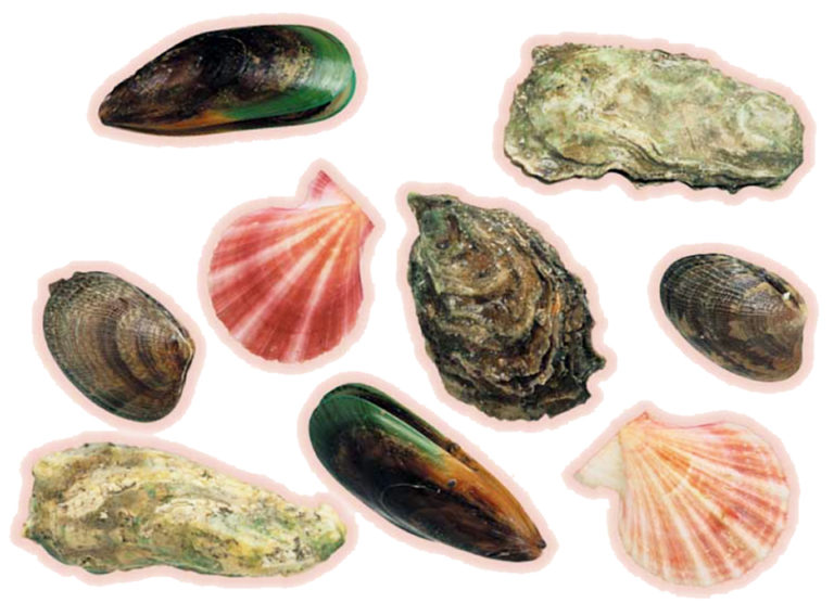 Article image for Hepatitis A and shellfish