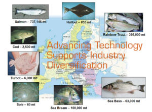 A review of European marine finfish hatcheries
