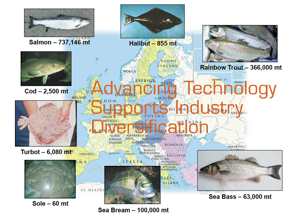Article image for A review of European marine finfish hatcheries