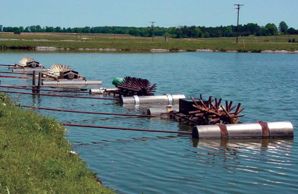 Limits of catfish production in ponds Responsible Seafood Advocate