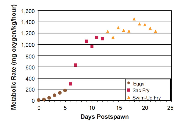 Oxygen management at channel catfish hatcheries Responsible Seafood