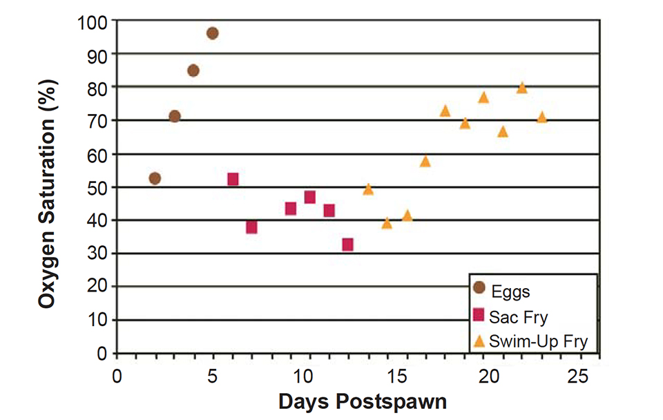 Oxygen management at channel catfish hatcheries Responsible Seafood