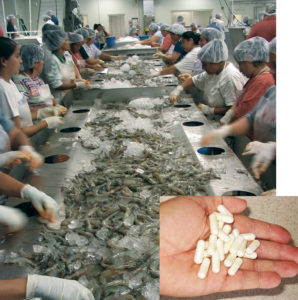 Shrimp processing byproducts find many uses