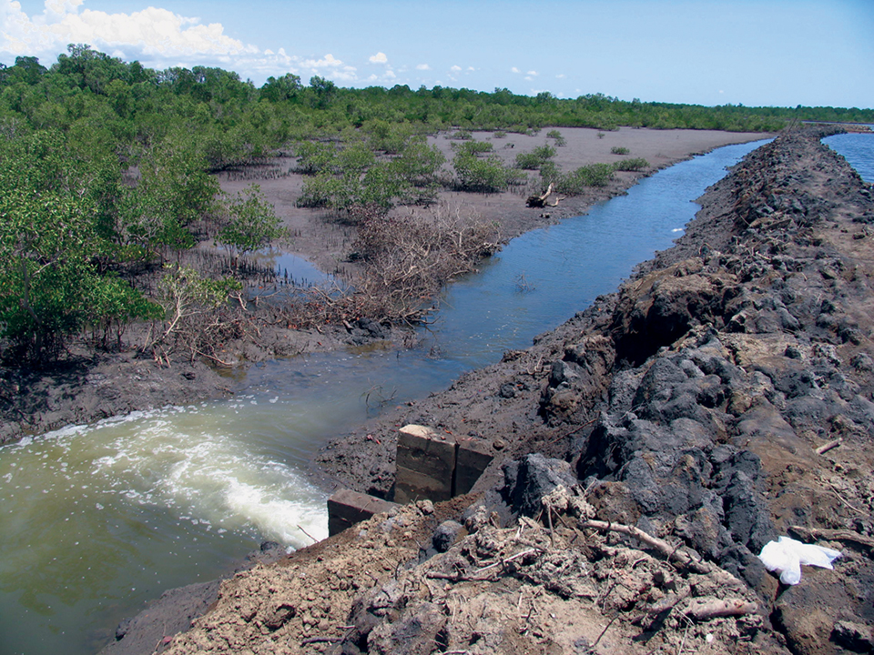 Article image for Best management practices minimize impacts of aquaculture effluents