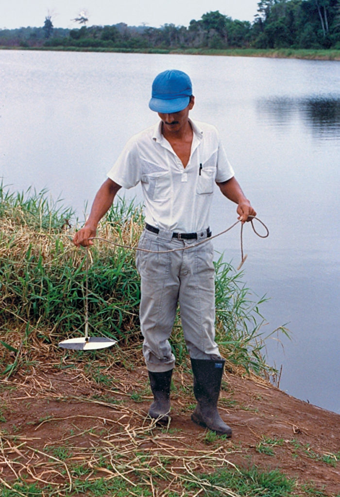 Article image for Phytoplankton dynamics in aquaculture ponds