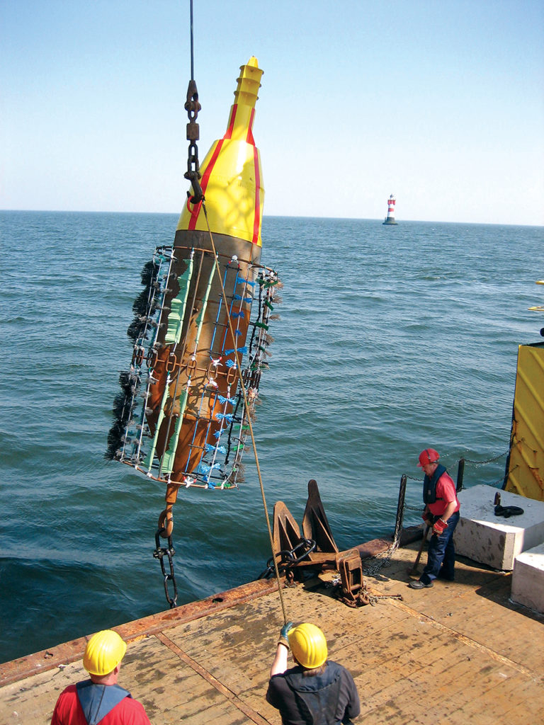 Article image for Concept combines offshore wind farms, mussel cultivation