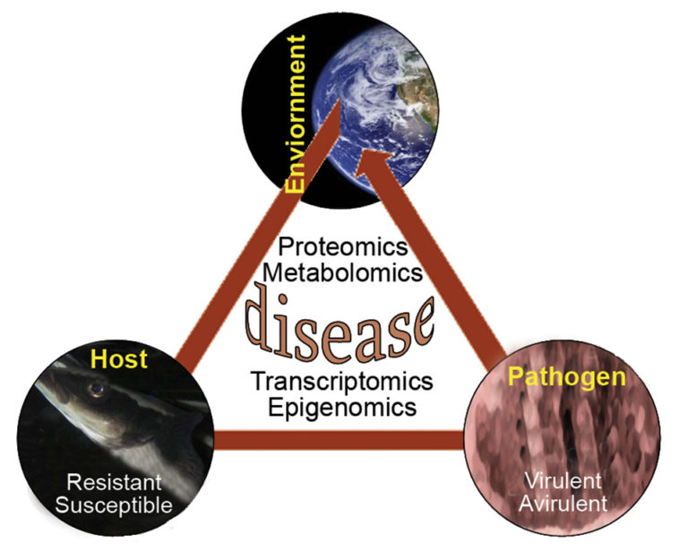 Article image for Nutrition and genes research at Virginia Tech