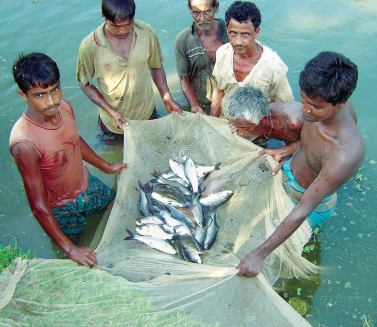 Article image for Joint culture of carps in Bangladesh