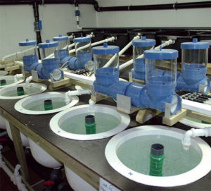 modular production units