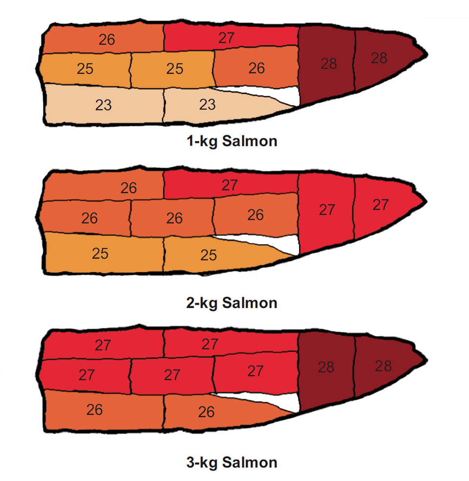 Article image for ‘Quality map’ for coho salmon fillets identifies color, lipid distribution