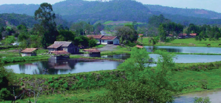 Article image for Brazil’s inland aquaculture