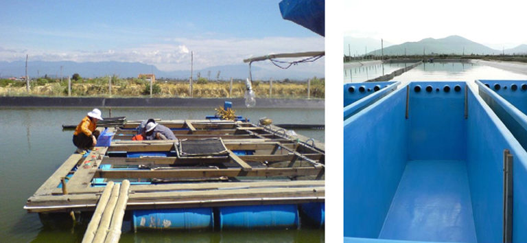 Article image for Floating raceways provide option for marine fish fingerling production