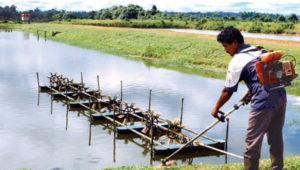 Responsible chemical use in aquaculture