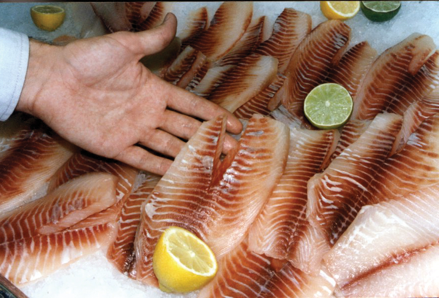 Food safety, quality control in tilapia products Responsible Seafood