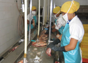 Food safety, quality control in tilapia products
