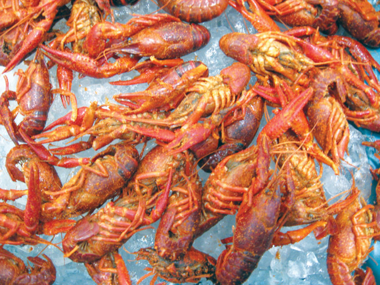 Article image for Solutions to microbiological challenges in crawfish processing