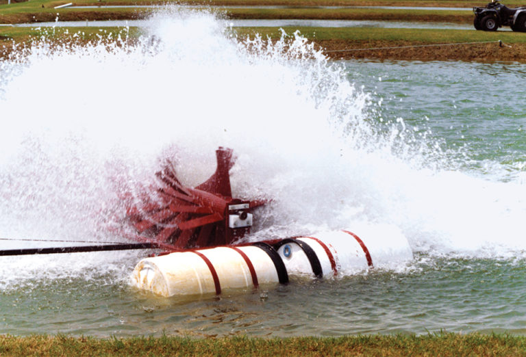 Article image for Direct energy use in channel catfish production