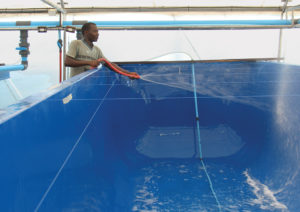 Chlorine an effective disinfectant in aquaculture
