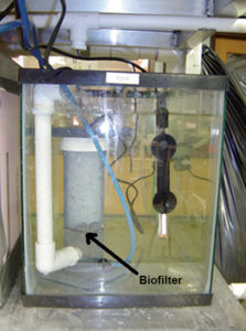 Temperature fluctuations affect biofilter performance in preliminary study
