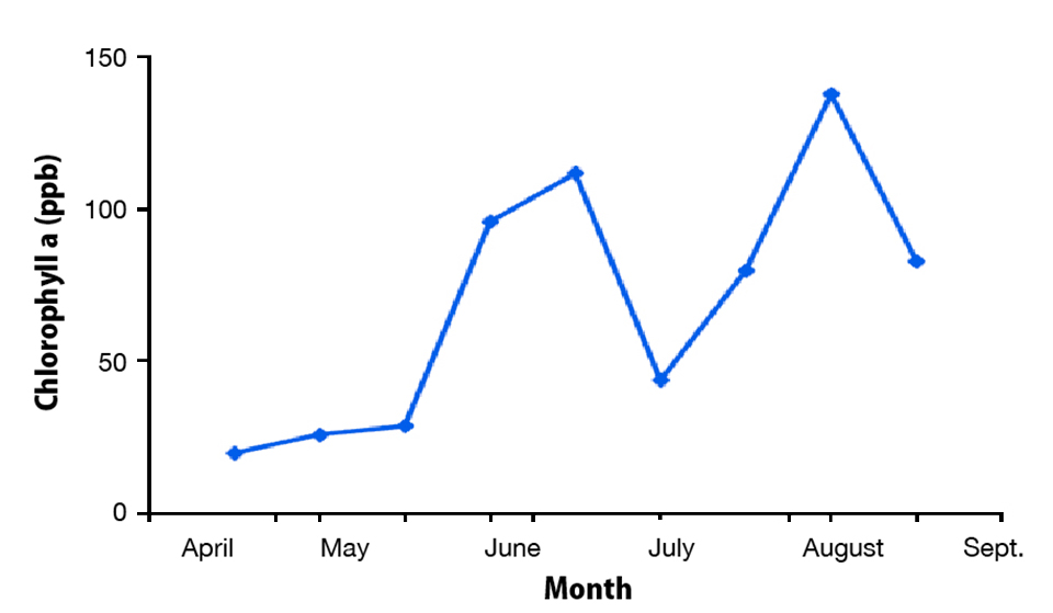 Phytoplankton in aquaculture ponds - Responsible Seafood Advocate