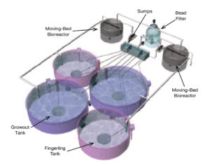 water treatment system