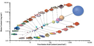Amino acid requirements in developing marine fish