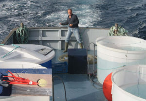 Spanish trials address transport of wild juvenile tuna for ongoing study