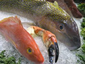 Enzymes in seafood, part 1
