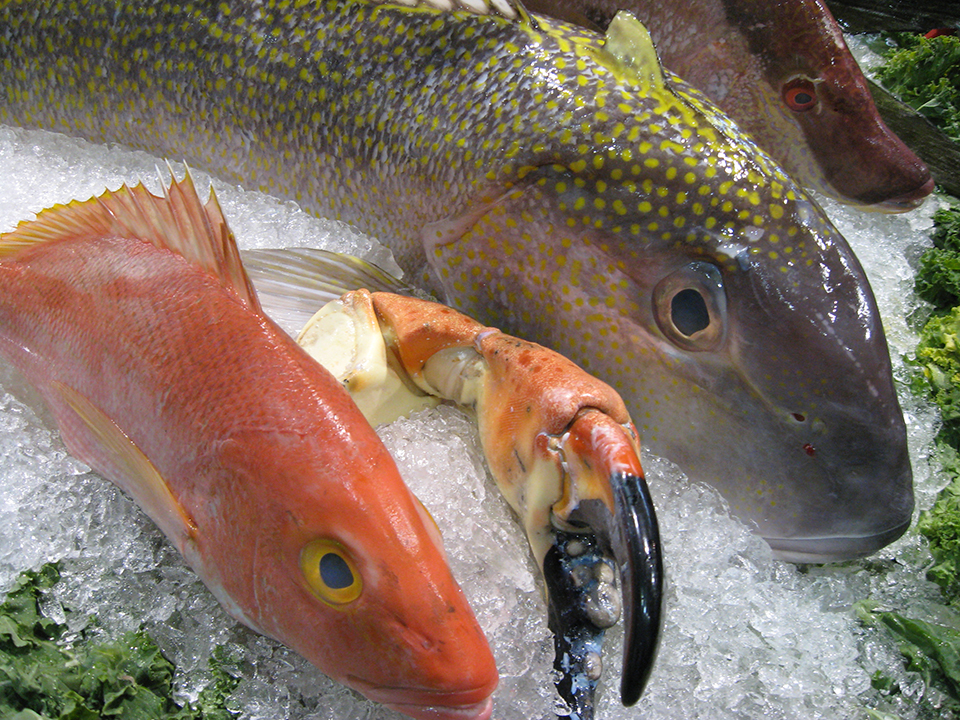 Article image for Enzymes in seafood, part 1