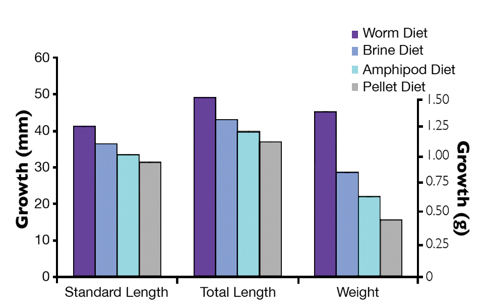 Rearing diets for winter flounder optimize weaning success in hatchery
