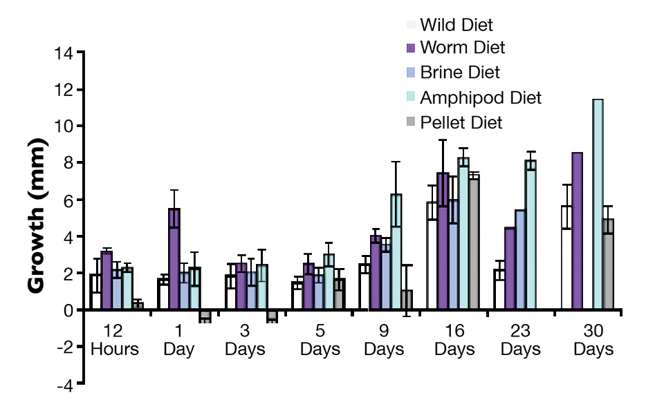 Rearing diets for winter flounder optimize weaning success in hatchery