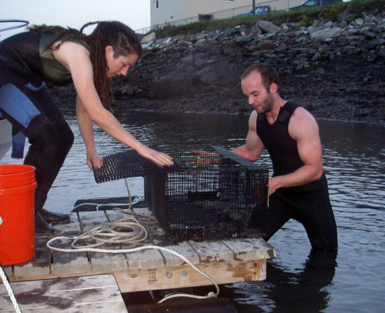 Article image for Rearing diets for winter flounder optimize weaning success in hatchery, wild