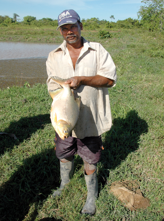 Article image for A look at aquaculture in Guyana