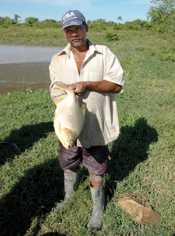 A look at aquaculture in Guyana - Responsible Seafood Advocate