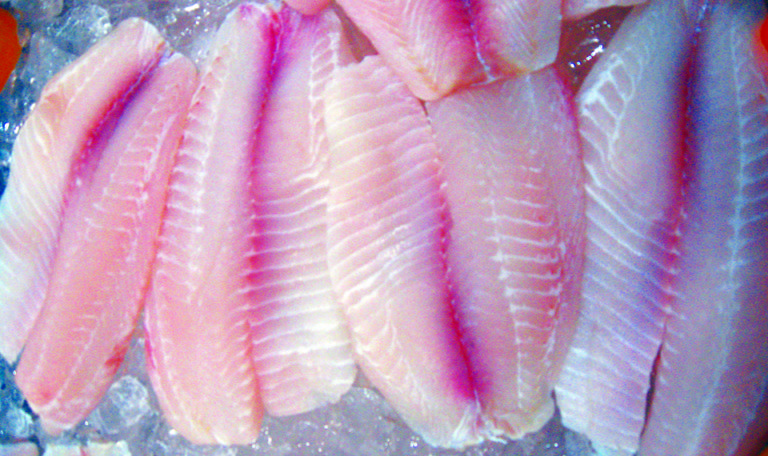 Article image for Finishing feeds tailor fatty acid composition in tilapia fillets