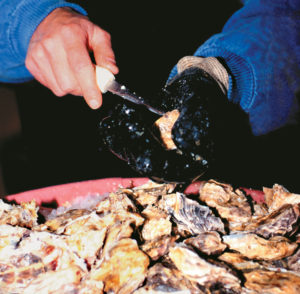 Vibrio contamination in raw oysters controlled by post-harvest treatments