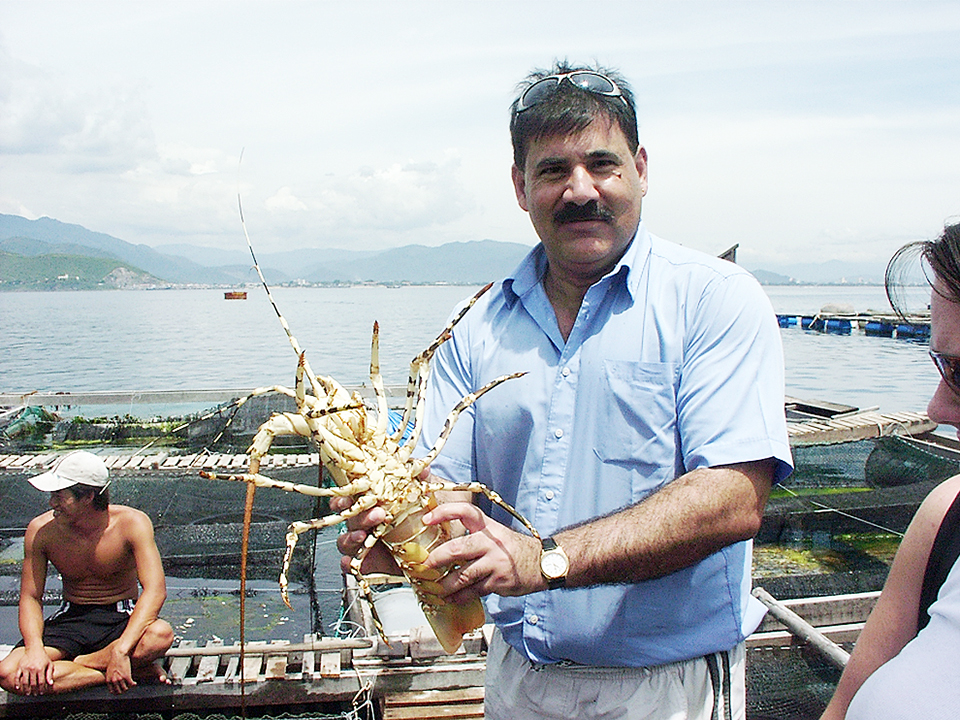 Article image for Spiny lobster aquaculture