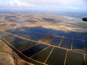 Aerial view of farms