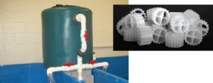Low-space bioreactors remove ammonia in recirculating systems