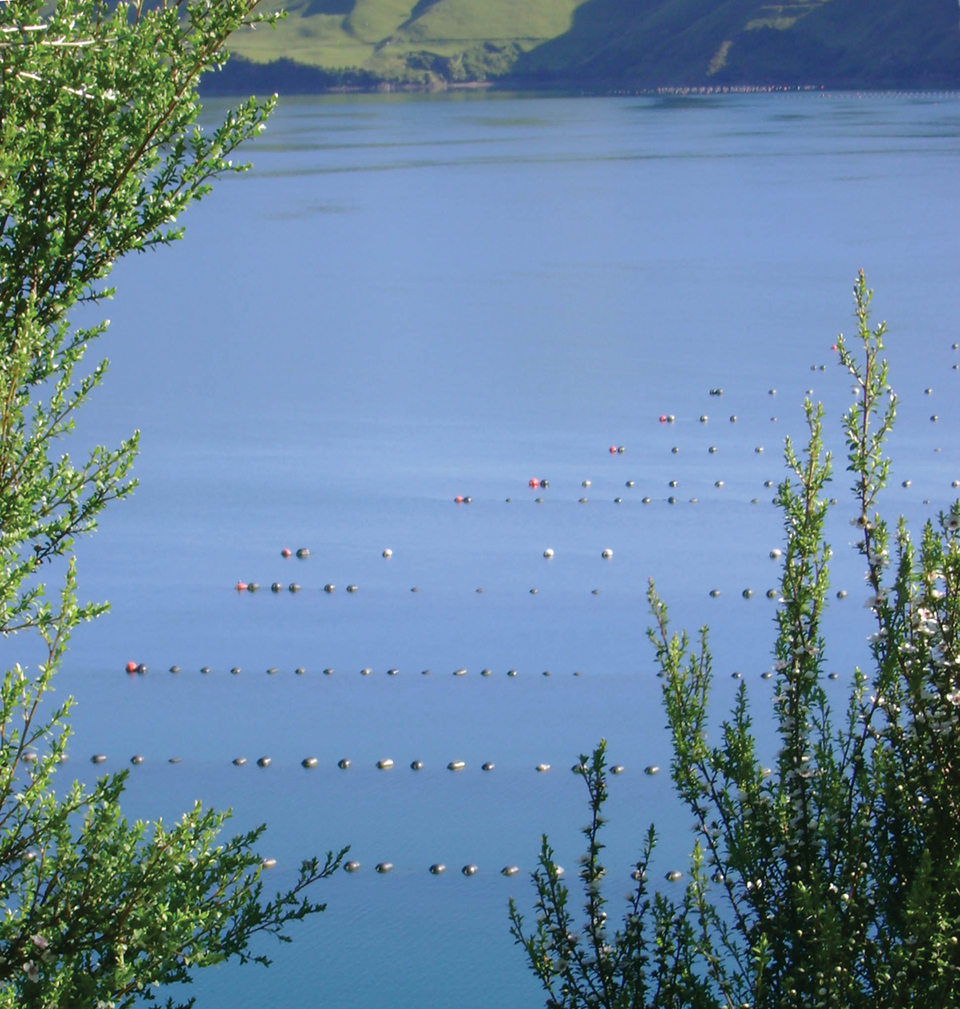 New Zealand addresses social factors in aquaculture development